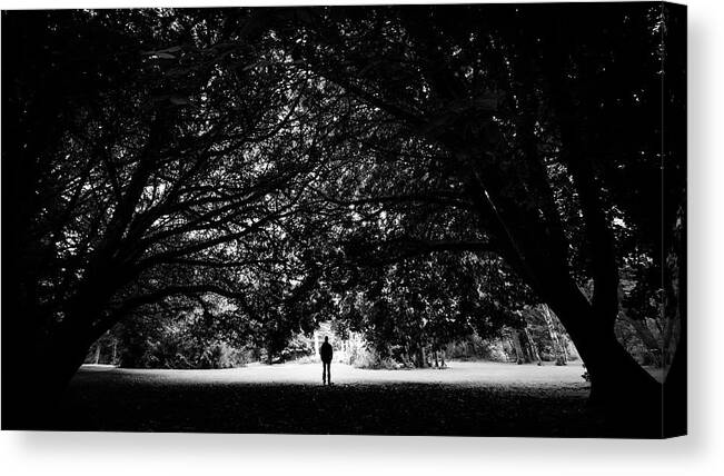 Black And White Canvas Print featuring the photograph The man and the trees - Cong, Ireland - Black and white photography by Giuseppe Milo