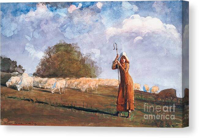 The Young Shepherdess Canvas Print featuring the painting The Young Shepherdess by Winslow Homer by Winslow Homer