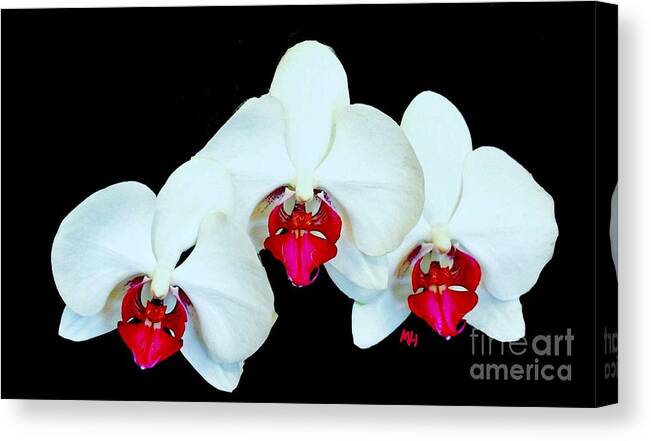 Photo Canvas Print featuring the photograph Three Orchids by Marsha Heiken