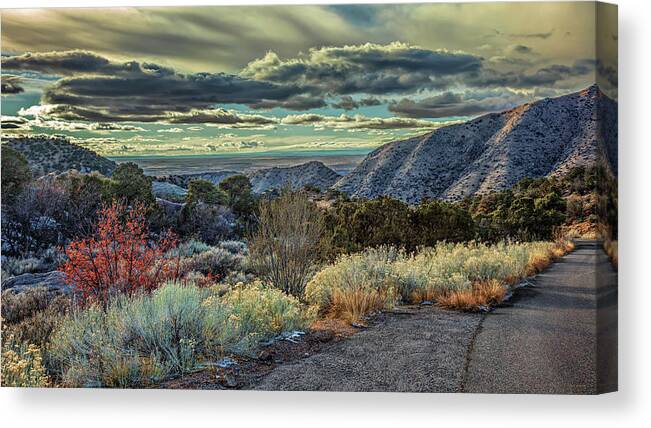 Landscape Canvas Print featuring the photograph Truly the Land of Enchantment by Michael McKenney