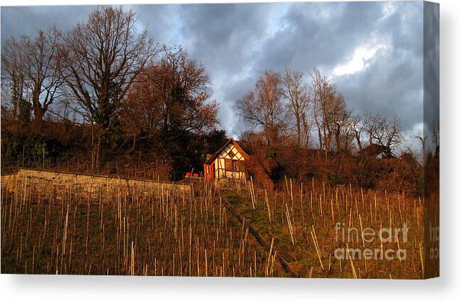 Vineyard House Canvas Print featuring the photograph Vineyard House by Susanne Van Hulst