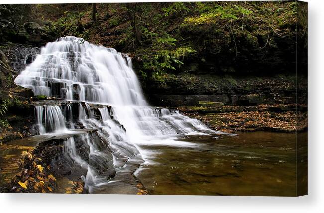 Waterfalls Canvas Print featuring the photograph Waterfall Cascade Salt Springs State Park by Christina Rollo