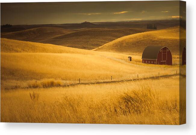 Farm Canvas Print featuring the photograph Waves of Grain by Don Schwartz
