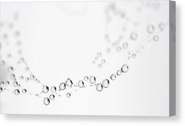 Spider Web Canvas Print featuring the photograph Web Water Baubles by Rebecca Cozart