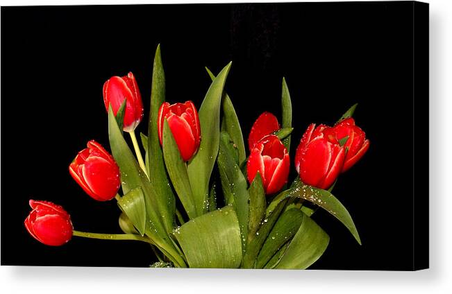 Tulips Canvas Print featuring the photograph Wet Tulips by Farol Tomson
