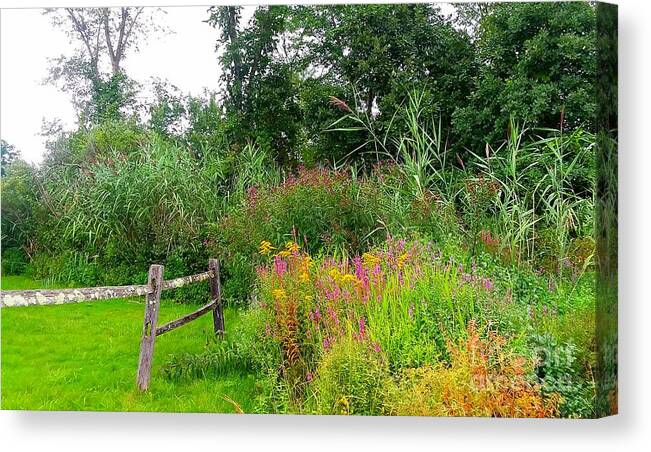 Wildflowers Canvas Print featuring the photograph Wildflowers and Fence in Bridgewater by Dani McEvoy