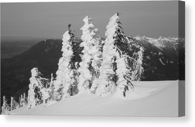 Landscape Canvas Print featuring the photograph Wind and Snow by Mark Camp