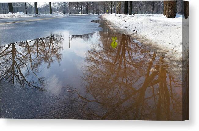 New Jersey Canvas Print featuring the photograph Winter Reflection by Erin Cadigan