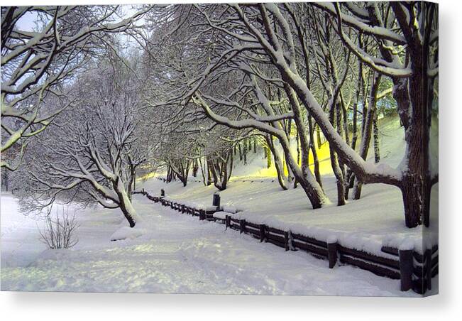 Winter Canvas Print featuring the photograph Winter scene 1 by Sami Tiainen