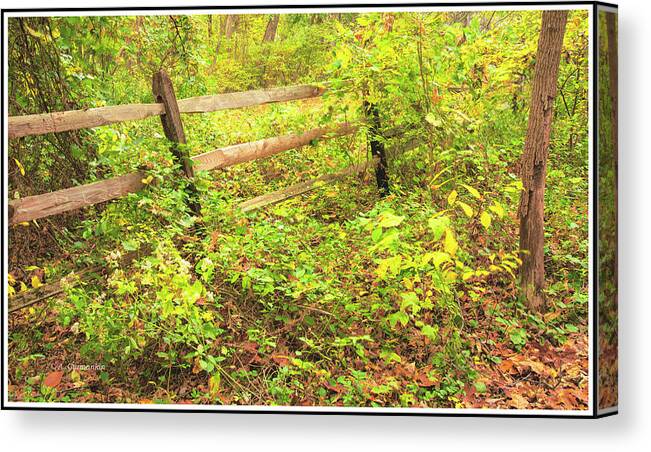 Wooden Fence Canvas Print featuring the photograph Wooden Fence in Autumn by A Macarthur Gurmankin