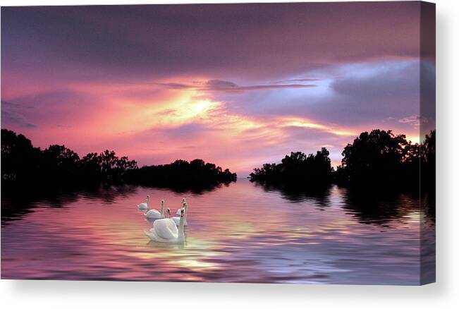 Swans Canvas Print featuring the photograph Sunset Swans by Jessica Jenney