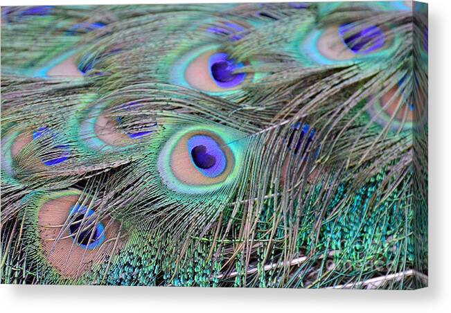 Abstract Canvas Print featuring the photograph An Eye for an Eye by Debby Pueschel