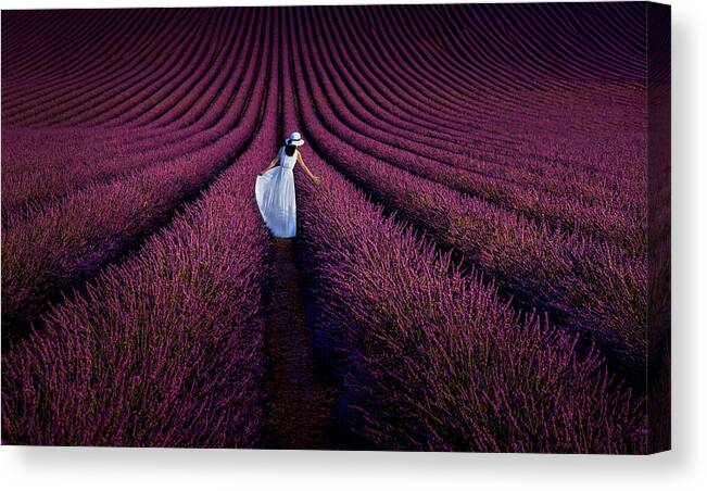 Provence Canvas Print featuring the photograph Provence Ultra Purple #1 by Kenneth Zeng