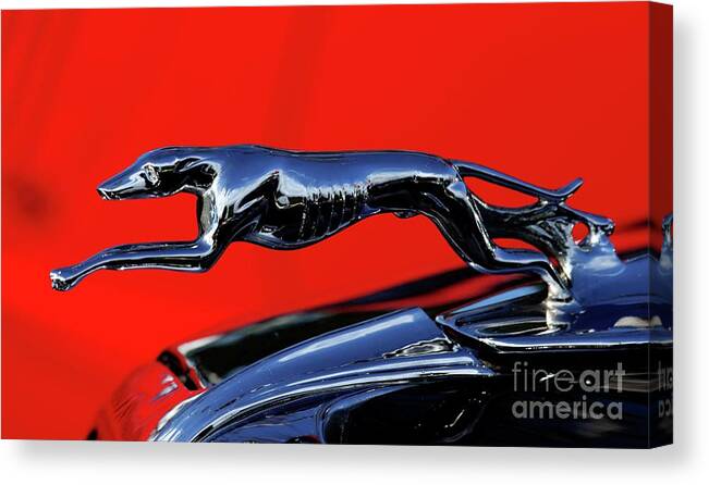 1934 Ford Hood Ornament Canvas Print featuring the photograph 1934 Ford by Terri Brewster