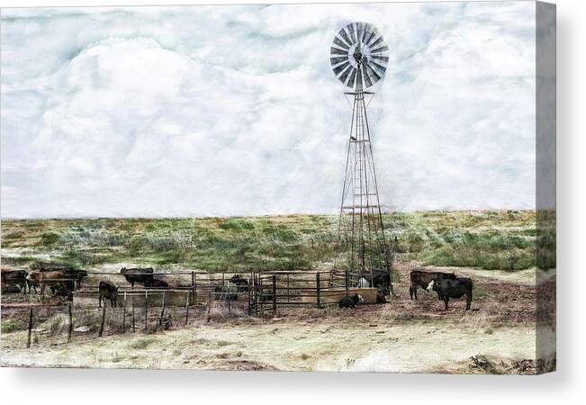 Classic Cattle Ii Canvas Print featuring the digital art Classic Cattle II by Don Northup
