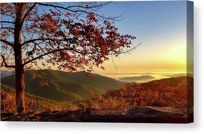 Autumn Canvas Print featuring the photograph Autumn Blue Ridge Dawn by Lara Ellis