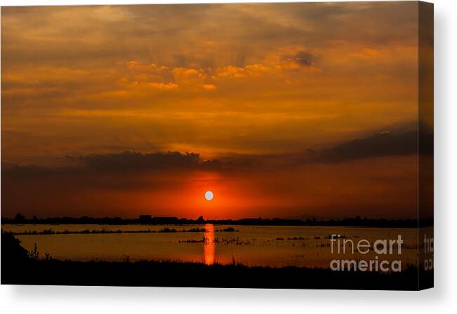 Color Canvas Print featuring the photograph Beautiful Sunset Landscape At Rice by Panompon Jaturavittawong