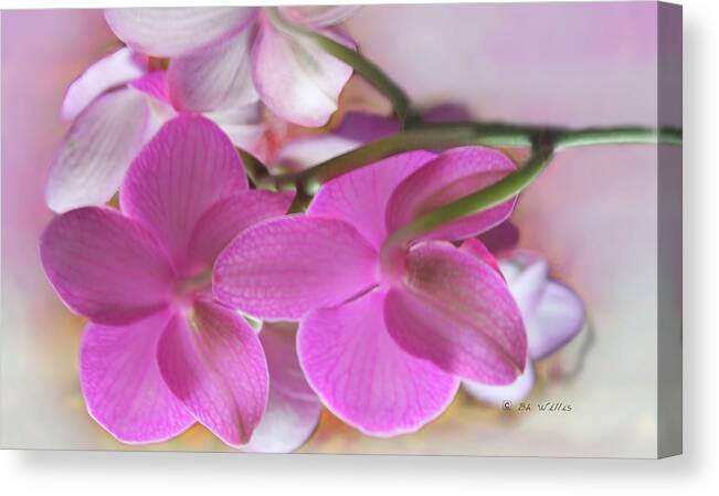 Flower Canvas Print featuring the photograph Behind the Orchid by Bonnie Willis