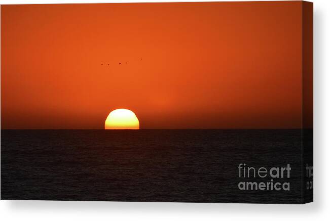 Sunset Canvas Print featuring the photograph Birds Flying Over The Sunset by Aicy Karbstein