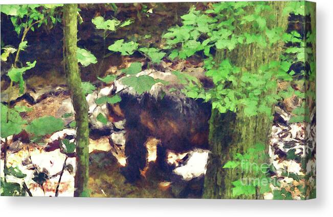 Bear Canvas Print featuring the digital art Black Bear In Woods by Phil Perkins
