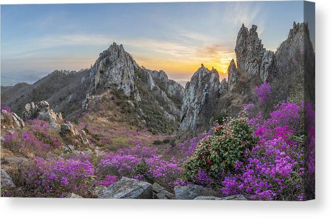 Mountains Canvas Print featuring the photograph Blooming Time, Deokryongsan by Jaeyoun Ryu