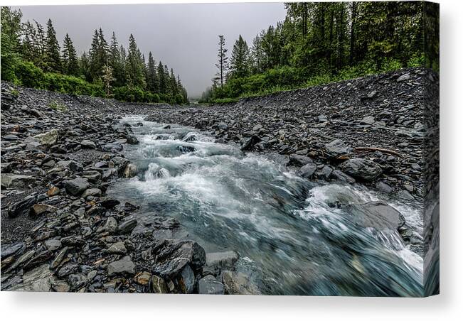 Water Canvas Print featuring the photograph Blue Water Creek by David Downs