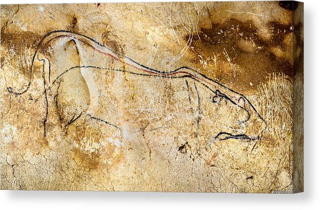 Chauvet Cave Lions Canvas Print featuring the digital art Chauvet Cave lions courting by Weston Westmoreland
