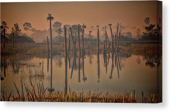 Viera Wetlands Canvas Print featuring the photograph Cool Day at Viera Wetlands by Dorothy Cunningham