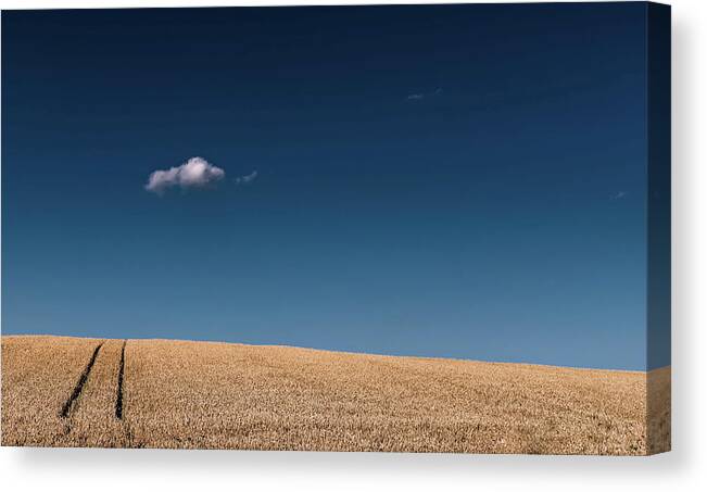 Tranquility Canvas Print featuring the photograph Corn-minimal by Máté Makarész