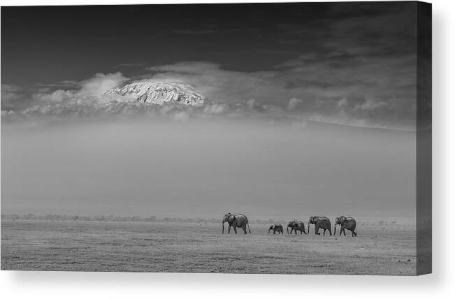 Elephant Canvas Print featuring the photograph Elephant Family Under Mount Kilimanjaro by Yun Wang