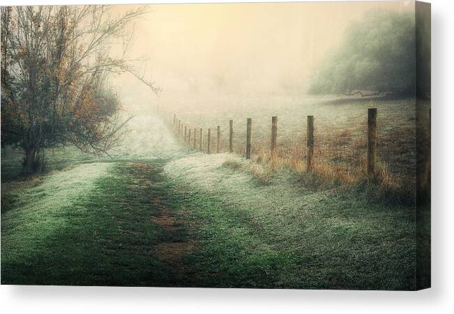 Winter Canvas Print featuring the photograph Fading Away by Anita Underwood Photography
