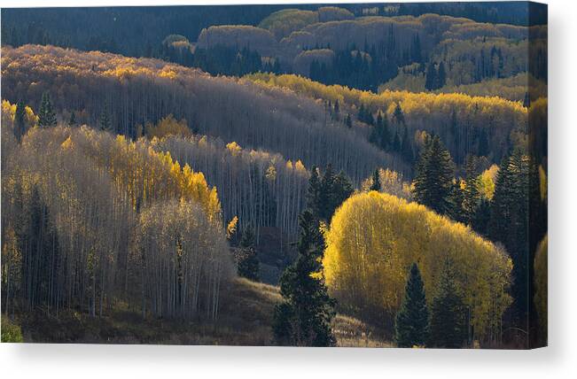 Fall Canvas Print featuring the photograph Fall Color-1 by ??? / Austin Li