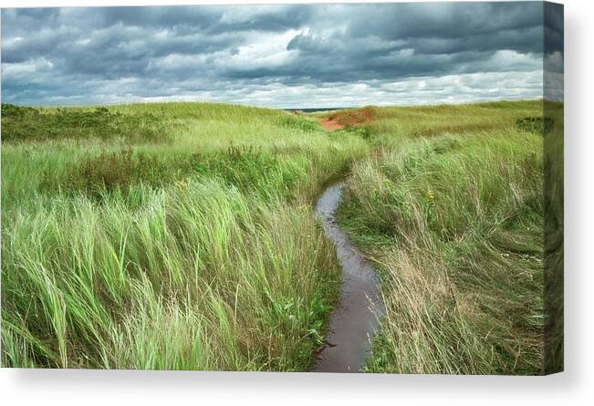 New London Lighthouse Canvas Print featuring the photograph Flooded Dune Path After Dorian by Marcy Wielfaert