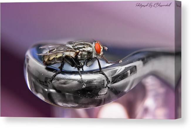 Macro Photography Canvas Print featuring the digital art Fly on a tap 0122 by Kevin Chippindall