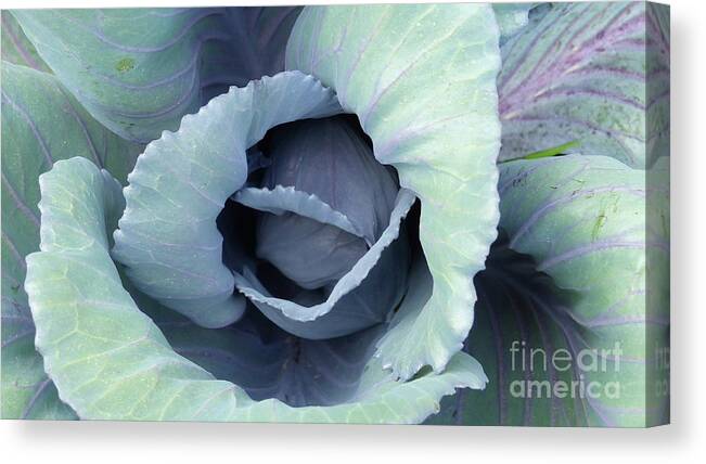 Blues And Purples Canvas Print featuring the photograph Garden Beauty by Rosanne Licciardi