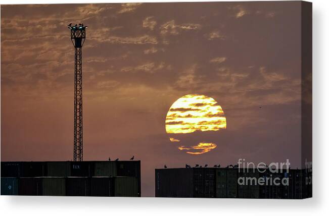 Bright Canvas Print featuring the photograph Giant Sun at Sunrise Cadiz Harbour by Pablo Avanzini