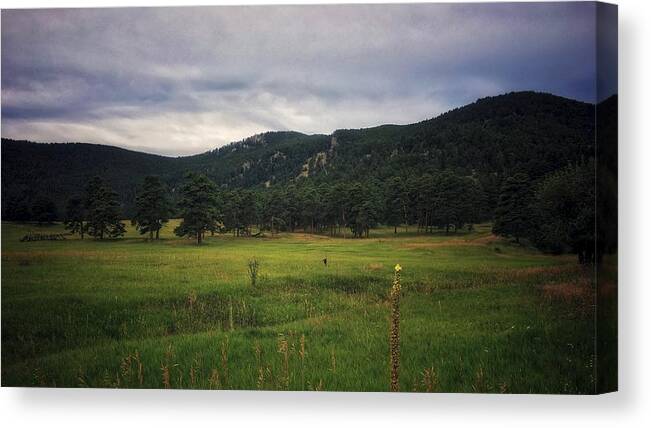 Landscape Canvas Print featuring the photograph Gloomy Meadow by Dan Miller