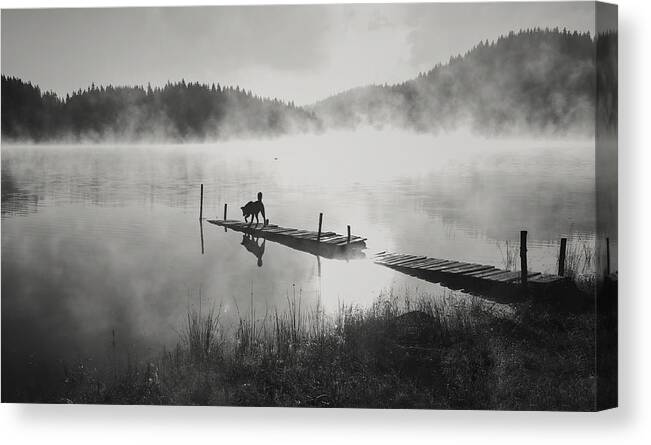 Landscape Canvas Print featuring the photograph In The Fog ... by Zlatina Peeva