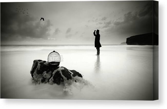 Bird Canvas Print featuring the photograph Joint The Freedom by Paulo Dias