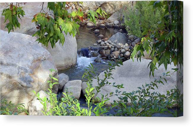 Usa Canvas Print featuring the pyrography Kaweah River by Magnus Haellquist