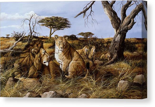 Lion Canvas Print featuring the painting Lazy In The Grass by Trevor V. Swanson