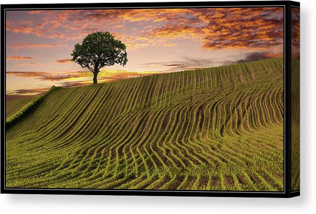 Tranquility Canvas Print featuring the photograph Leading Lines by Nick Brundle Photography