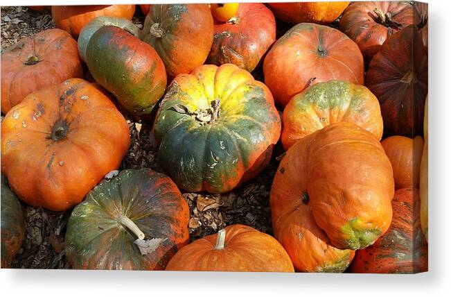 Pumpkins Canvas Print featuring the photograph Light Contrast and Pumpkins by Ally White