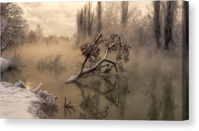 Winter Canvas Print featuring the photograph Loneliness by Alexander Plekhanov