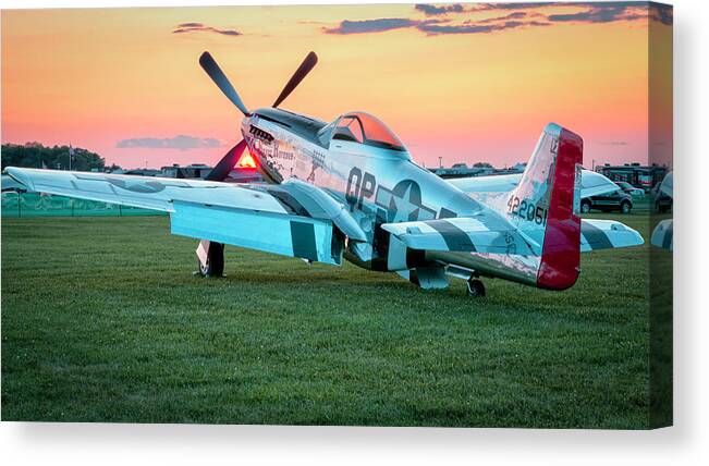 Fighter Canvas Print featuring the photograph Lonely Mustang by Laura Hedien