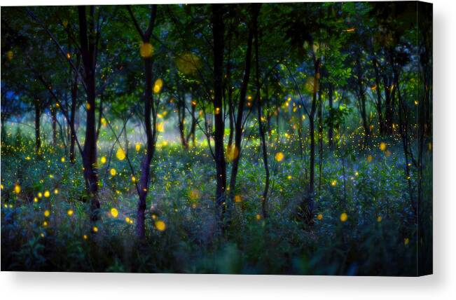 Magic Canvas Print featuring the photograph Magic Fireflies by Hua Zhu