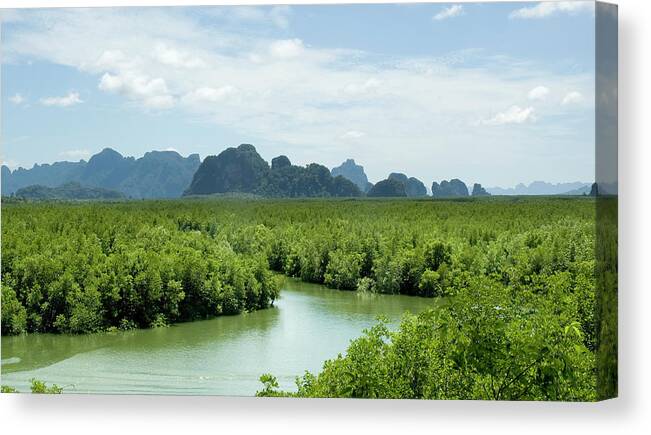 Archipelago Canvas Print featuring the photograph Mangrove Forest In Phang Nga Bay by Tbradford