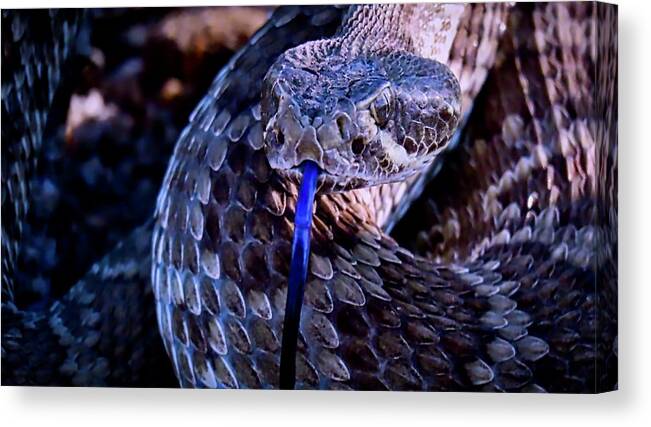 Affordable Canvas Print featuring the photograph Mojave by Judy Kennedy