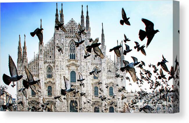 Gothic Style Canvas Print featuring the photograph Pigeons In Flight Against Duomo by Vicki Jauron, Babylon And Beyond Photography