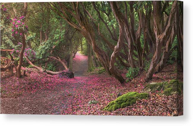 Woodland Canvas Print featuring the photograph Portmeirion Garden by Hans Repelnig